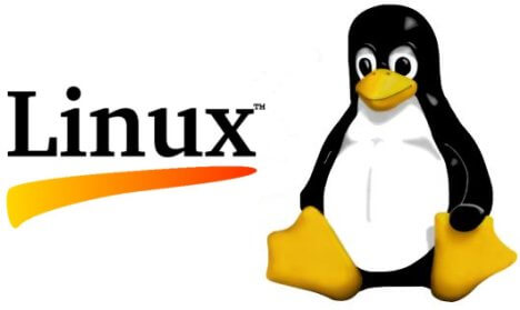 serveur mail lunix