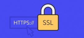 Comment installer le certificat SSL (HTTPS) dans WordPress